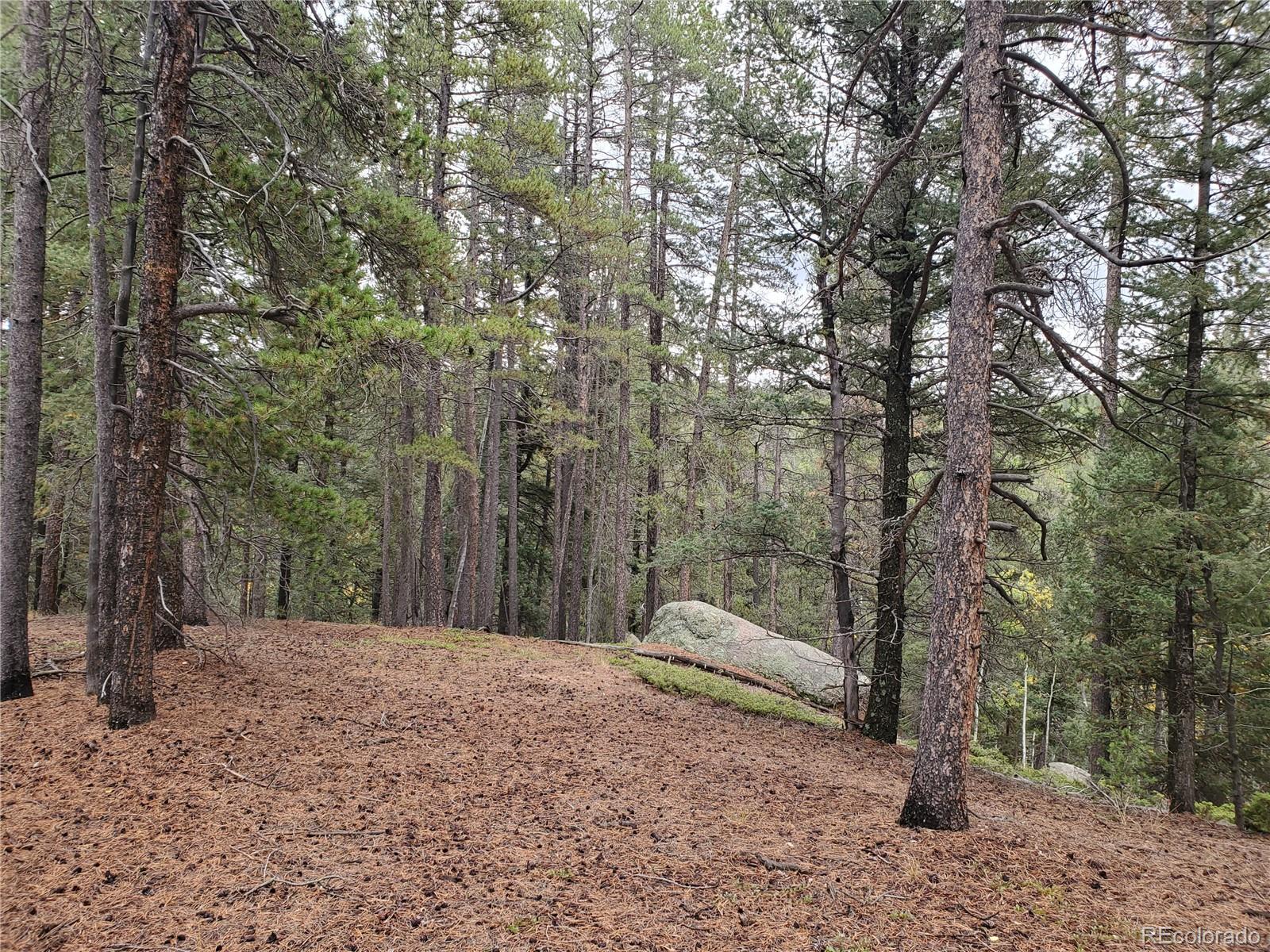 000 Rampart Range, Sedalia, CO 80135