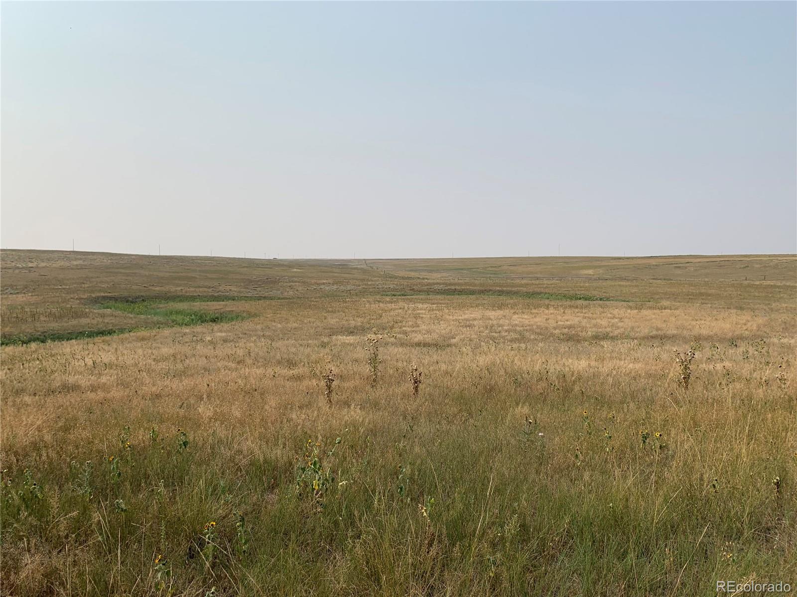 39115 County Road 166 Lot 4, Agate, CO 80101