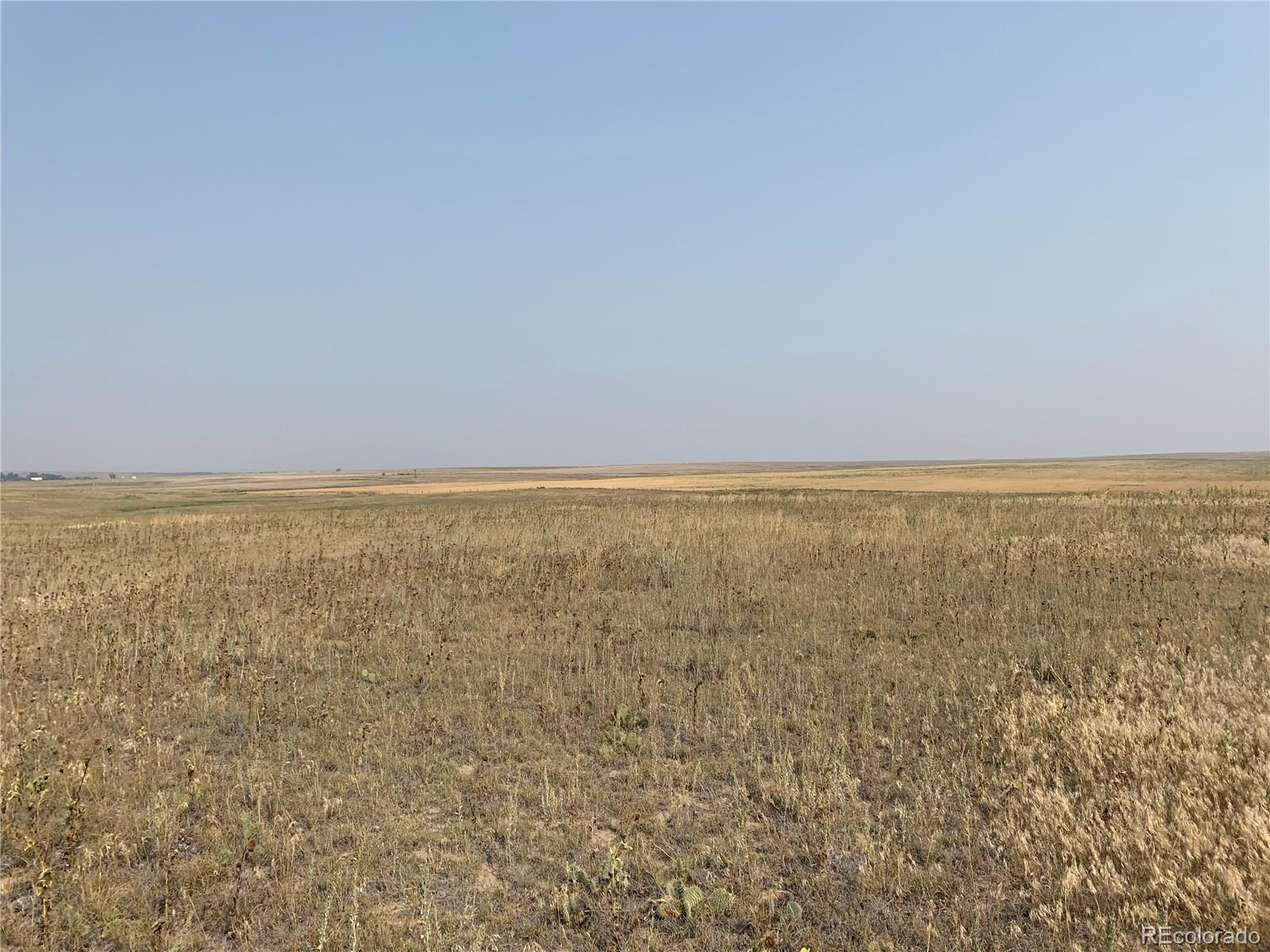 39115 County Road 166 Lot 4, Agate, CO 80101
