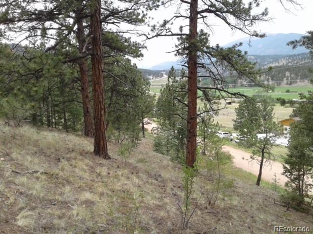 364 County Road 64 Lot 14, Shawnee, CO 80475