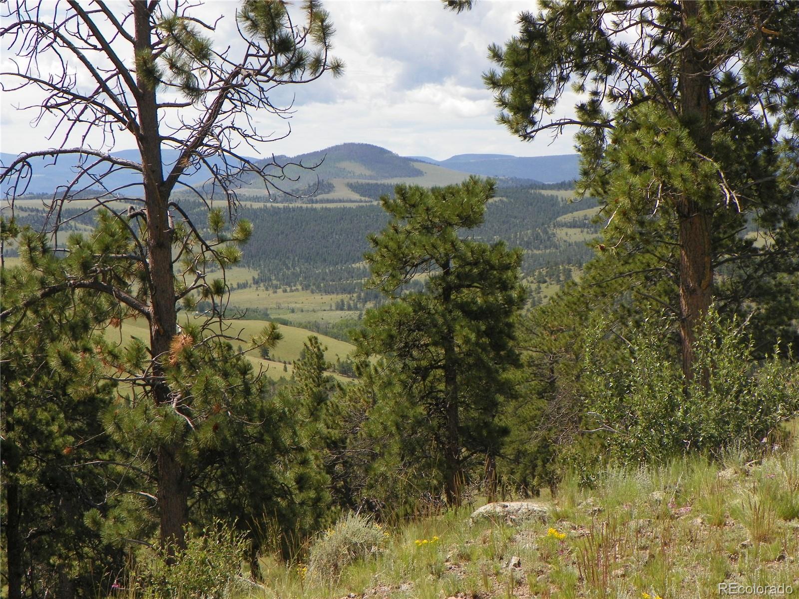 84.85 Acres, Saguache, CO 81149