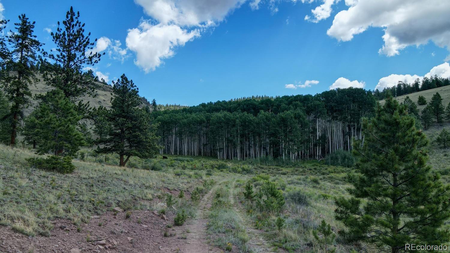 84.85 Acres, Saguache, CO 81149