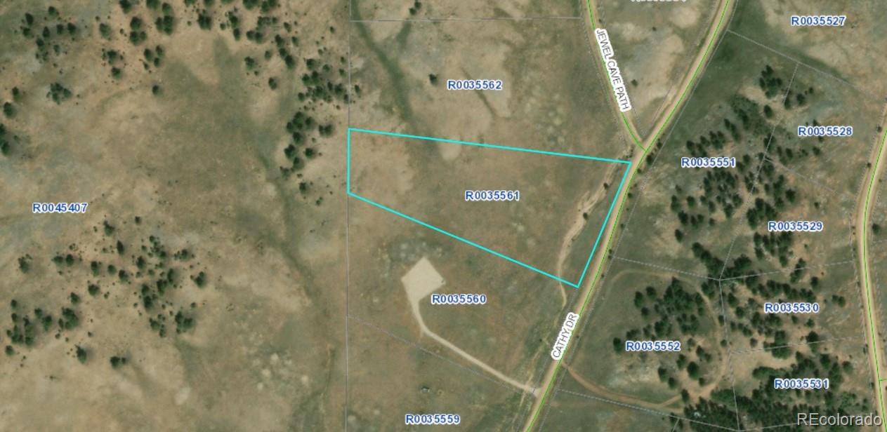 691 Cathy Dr, Hartsel, CO 80449