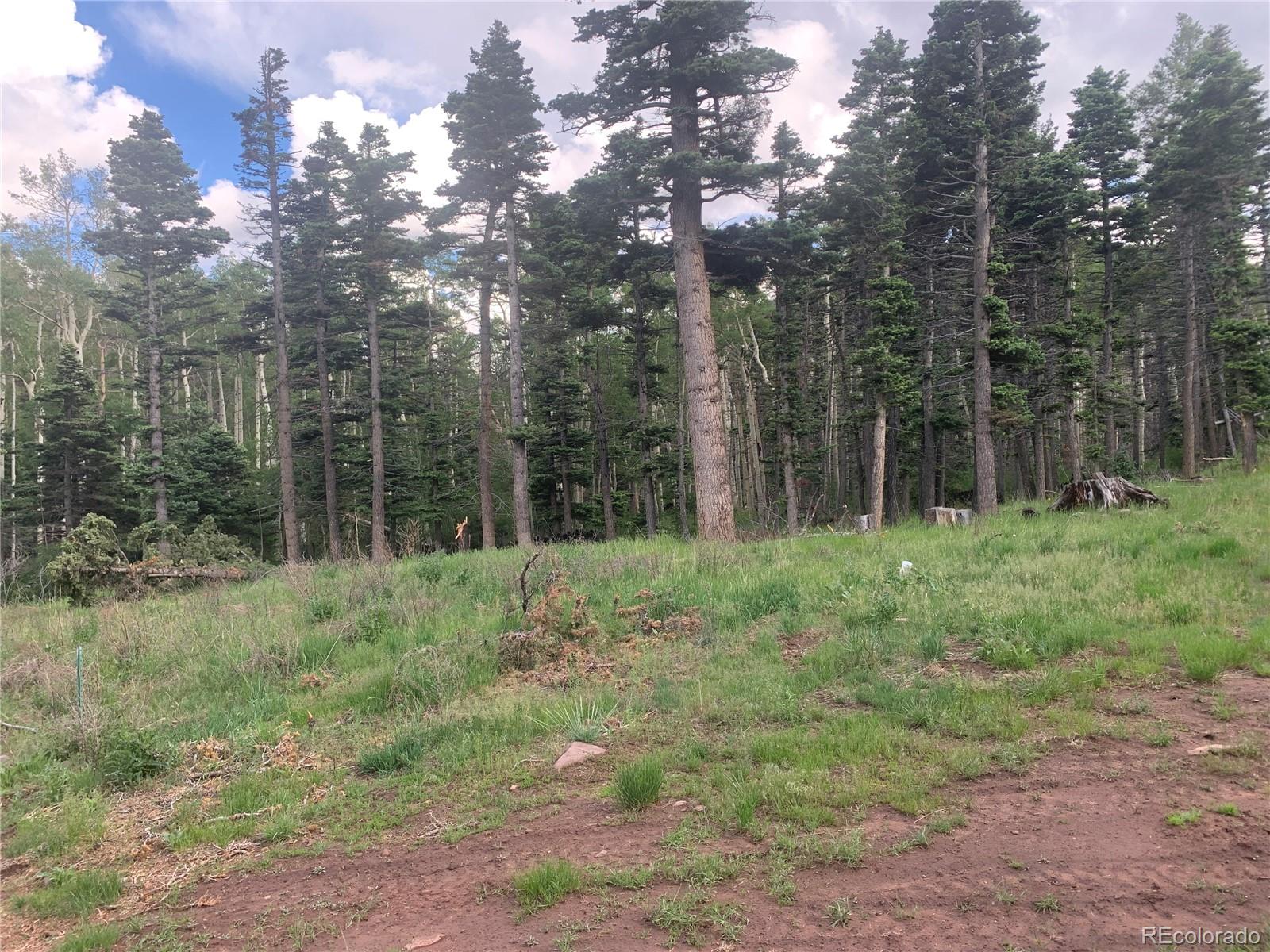 2956 Kemper Loop Lot 2956, Fort Garland, CO 81133
