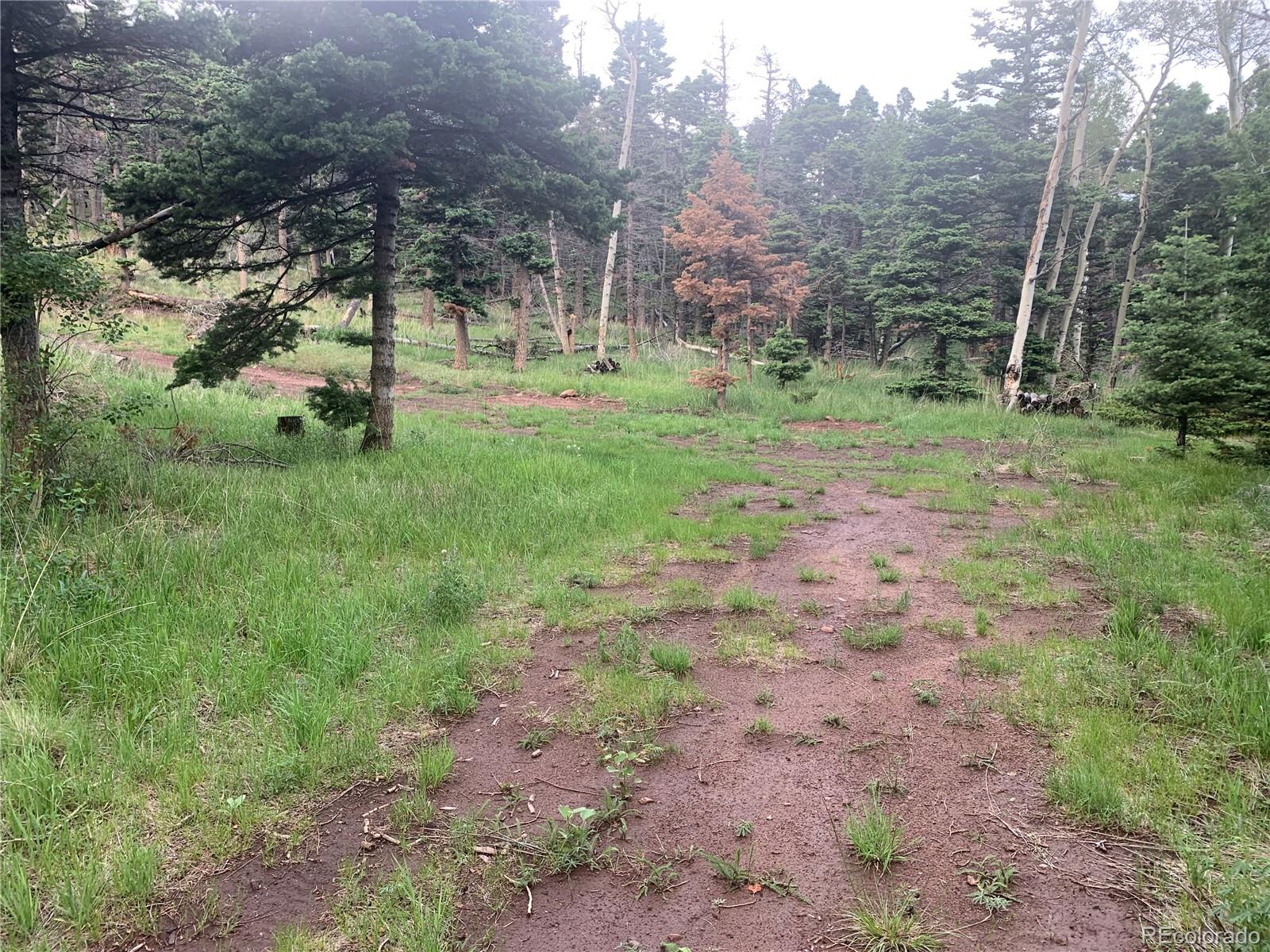 2956 Kemper Loop Lot 2956, Fort Garland, CO 81133