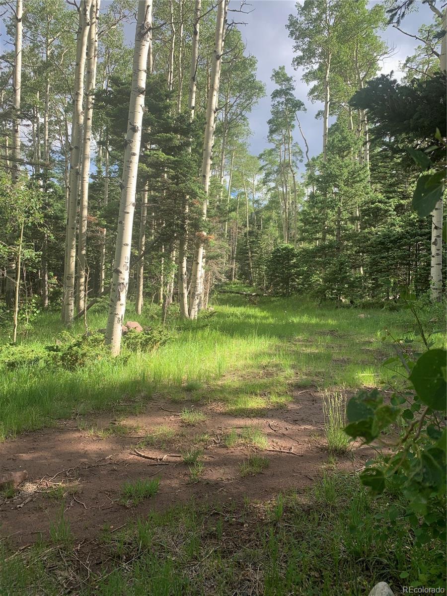 2956 Kemper Loop Lot 2956, Fort Garland, CO 81133