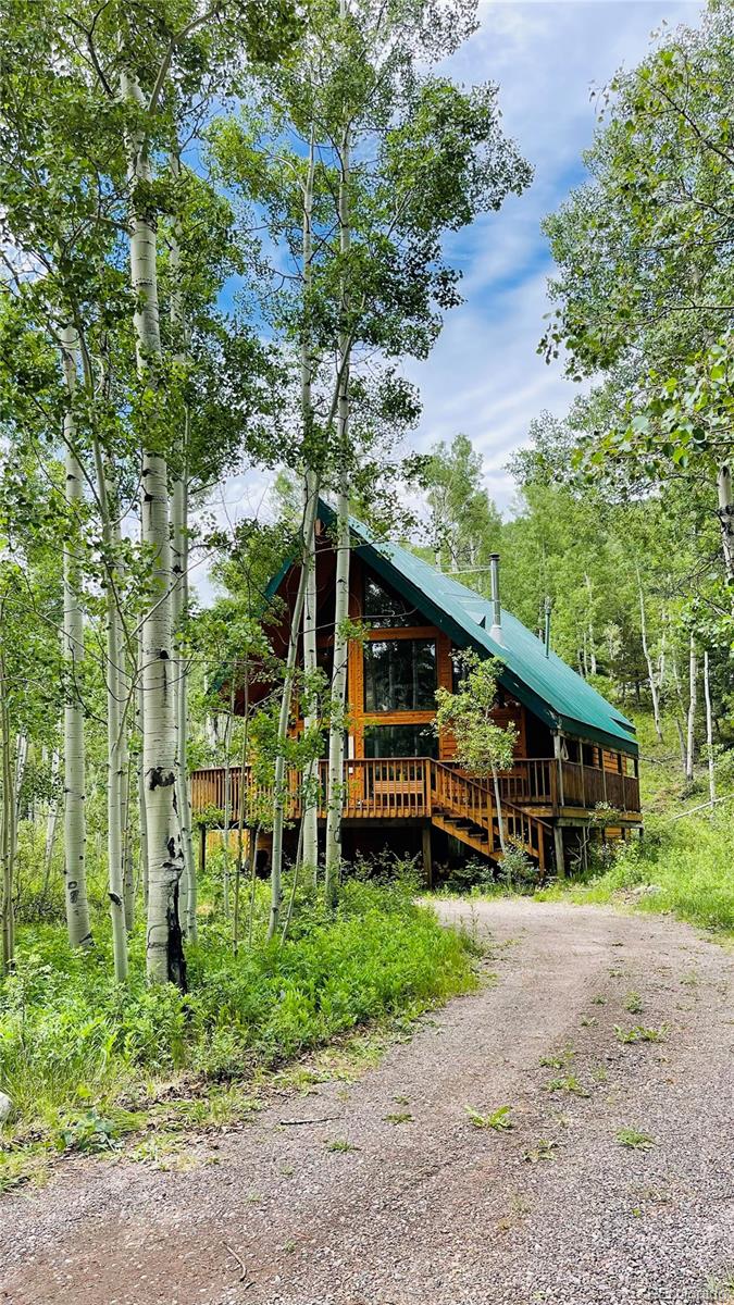 225 Deer Park Rd, Antonito, CO 81120