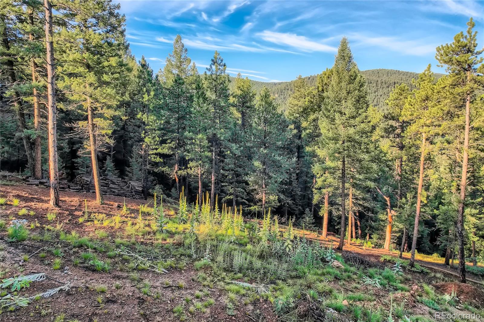 5289 S Algonquin Rd, Indian Hills, CO 80454