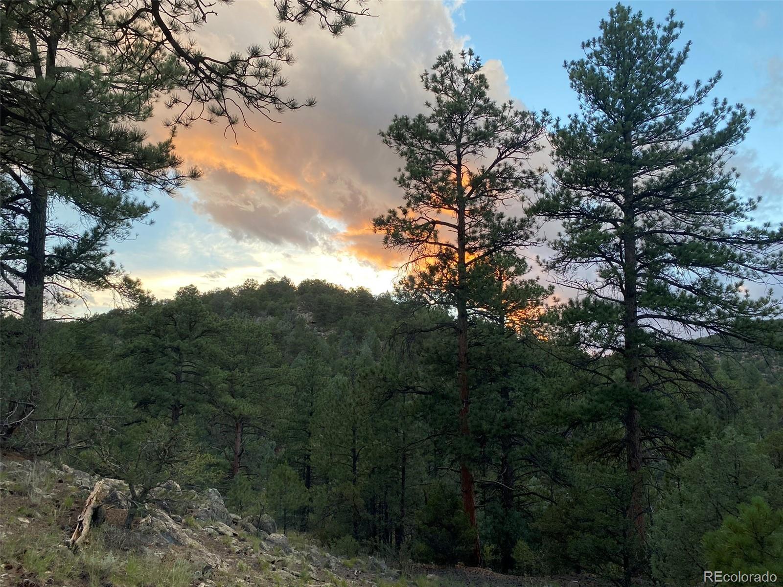 1268 Coyote Rn, Texas Creek, CO 81223