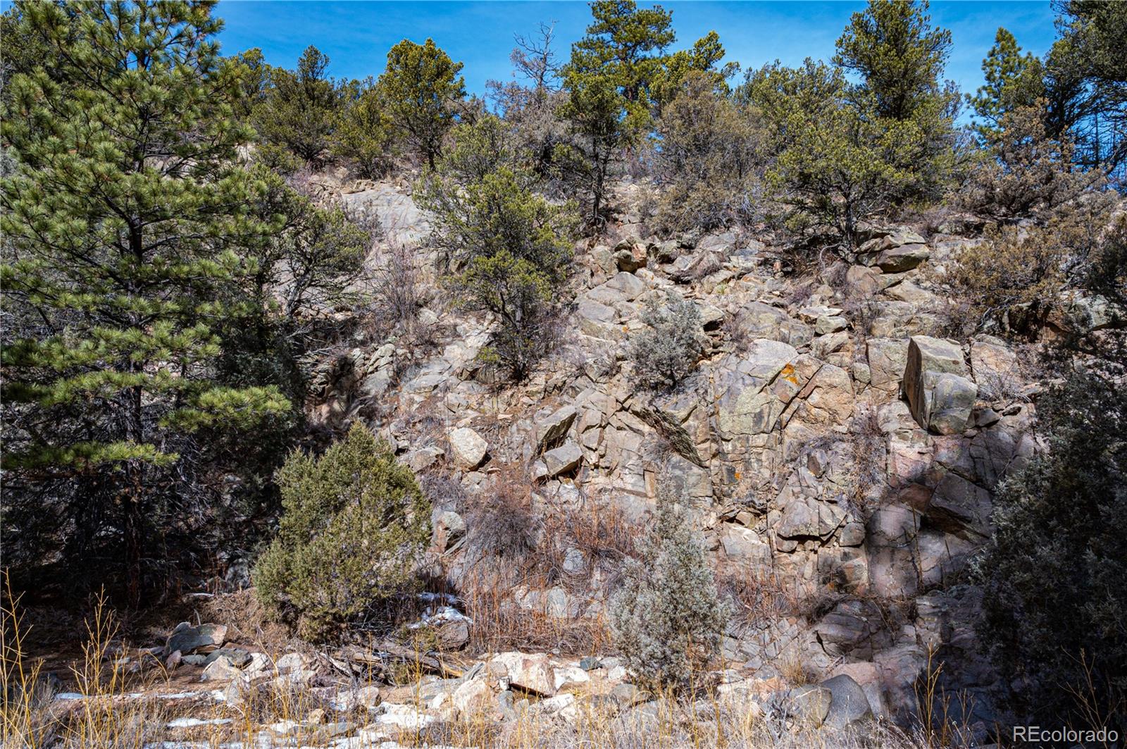 1268 Coyote Rn, Texas Creek, CO 81223