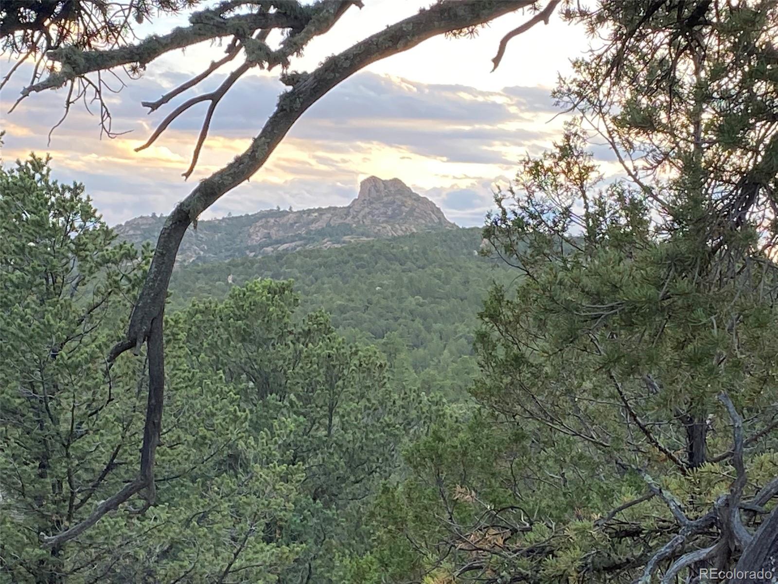 1268 Coyote Rn, Texas Creek, CO 81223