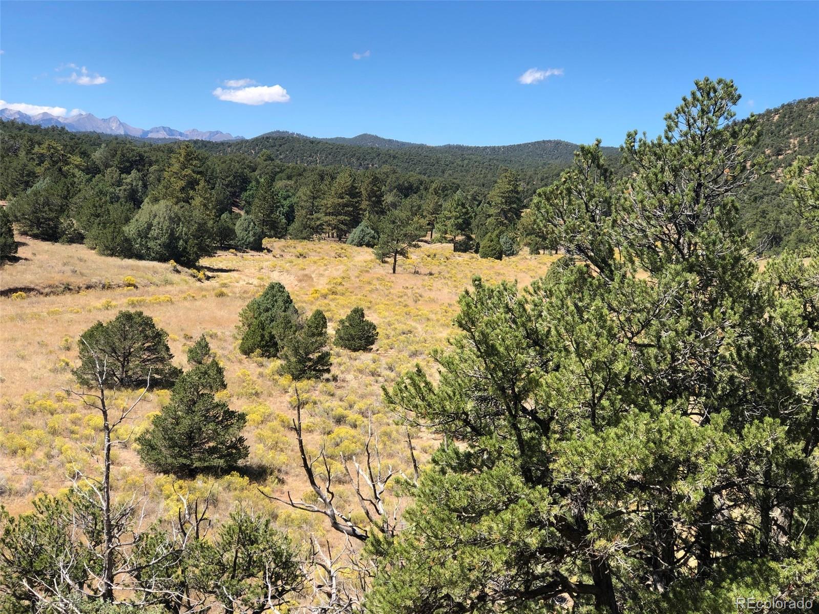 31 AC Cr 634 2, Gardner, CO 81040