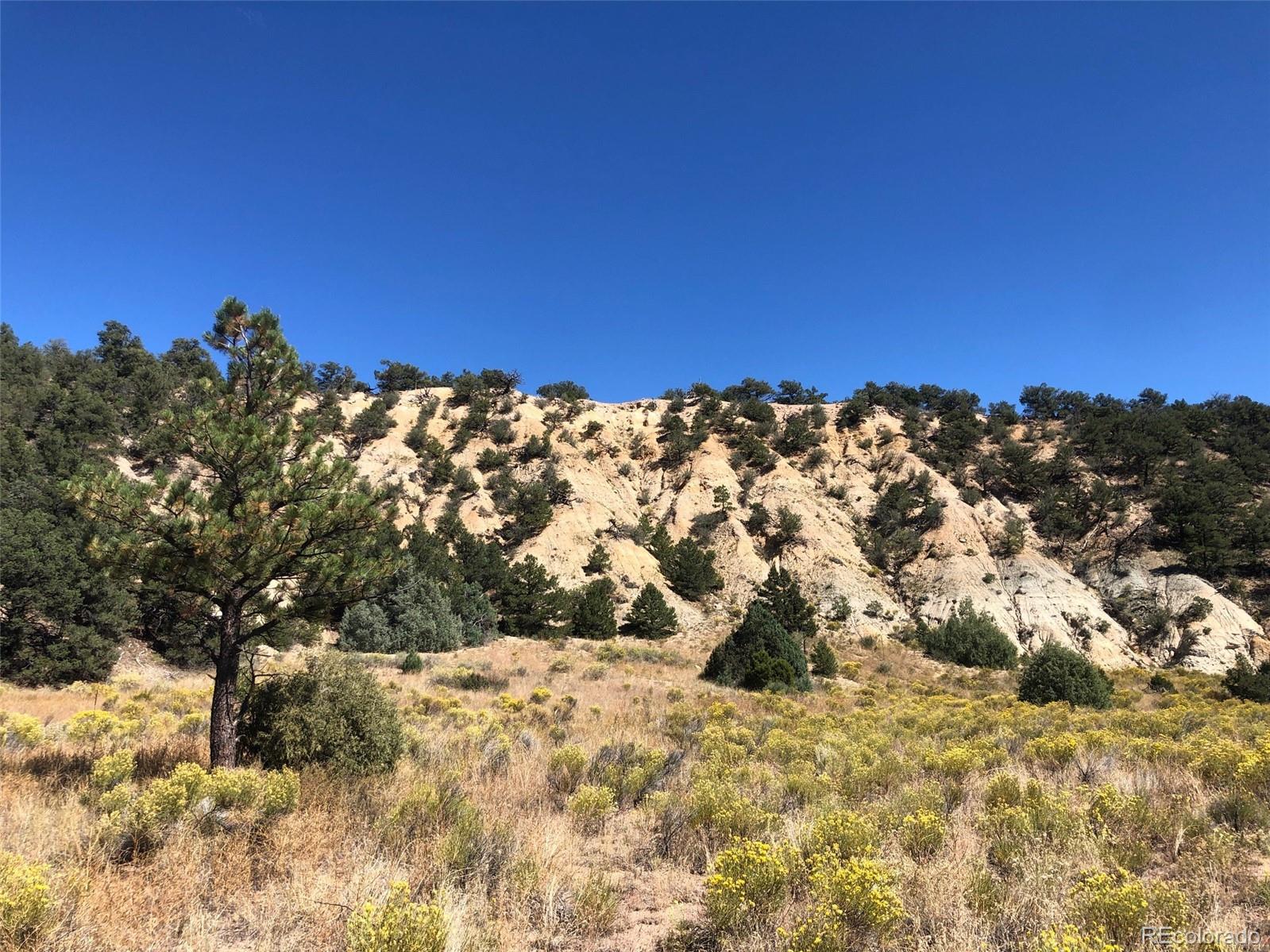 31 AC Cr 634 2, Gardner, CO 81040