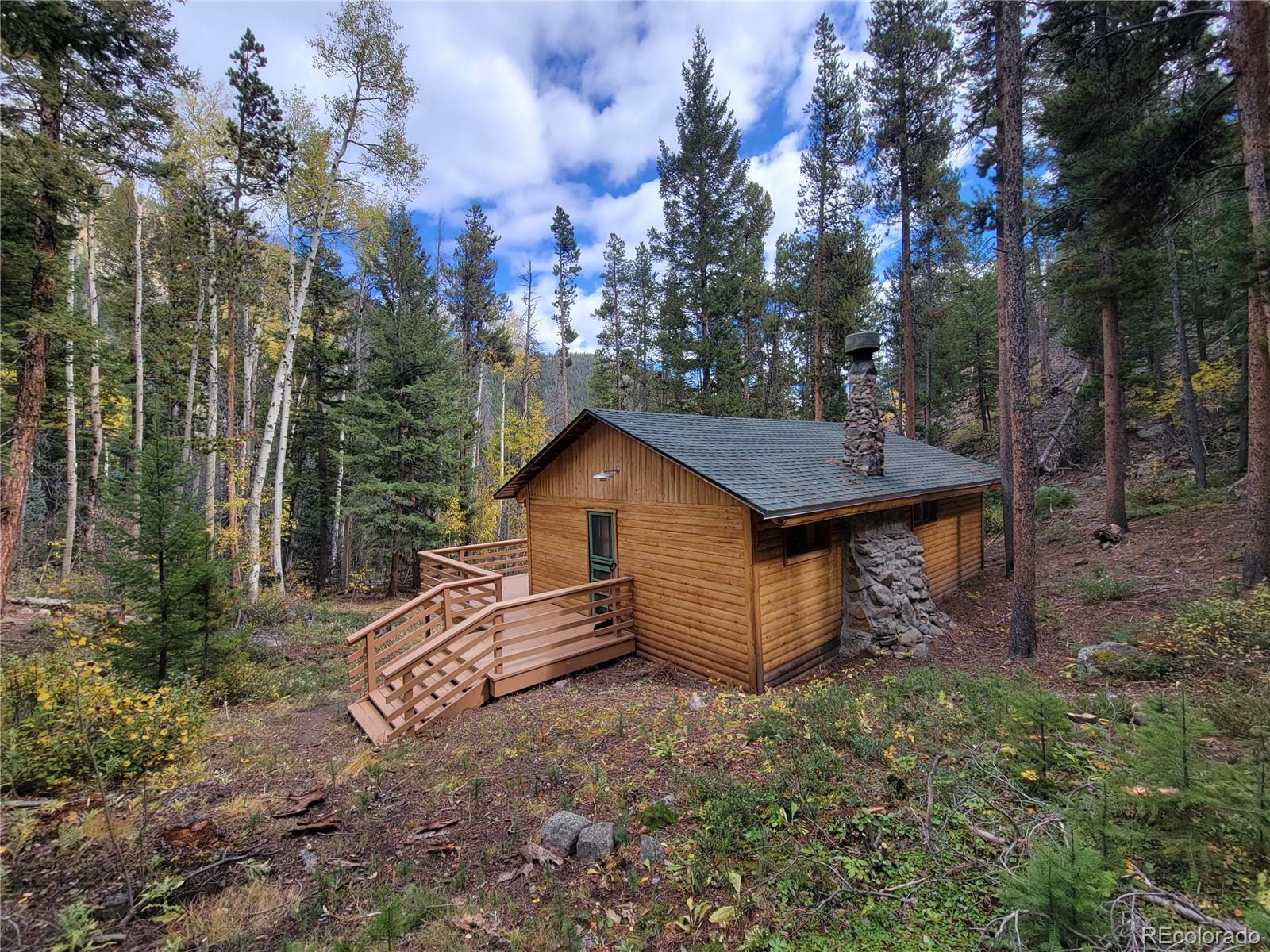 420 Morrison Ln, Empire, CO 80438