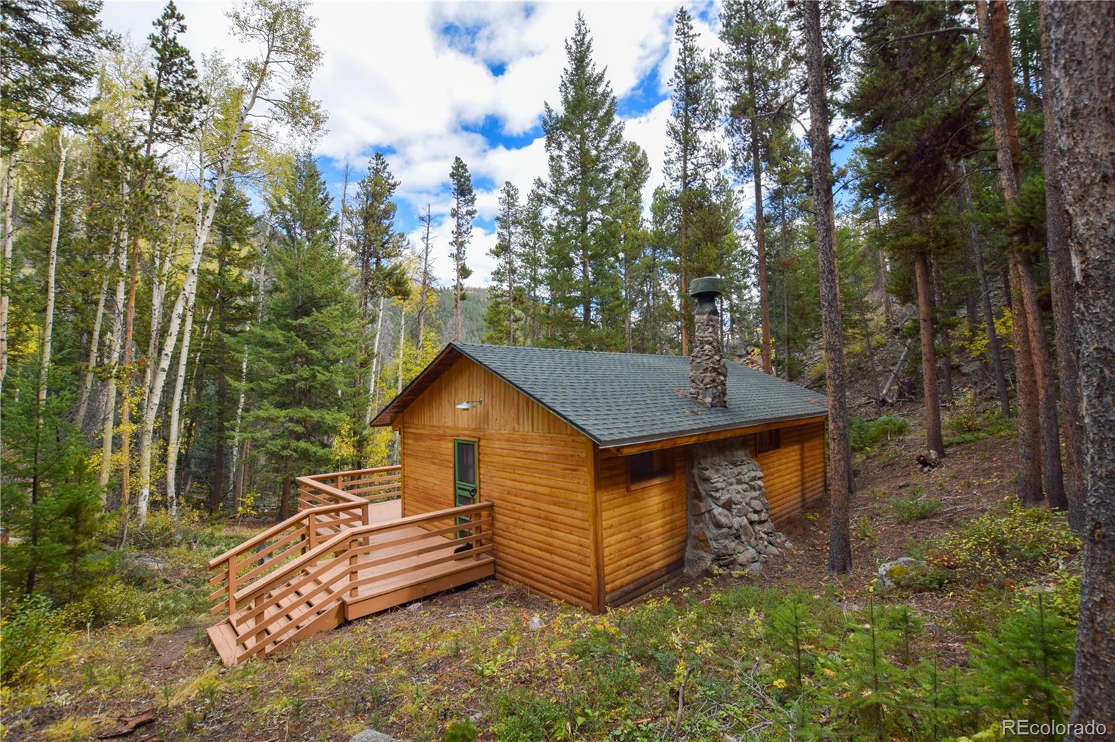 420 Morrison Ln, Empire, CO 80438