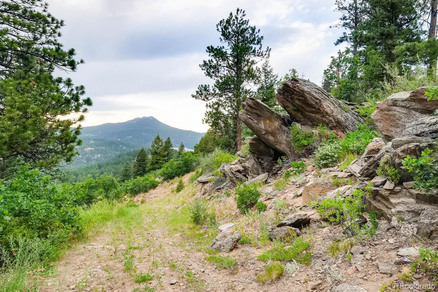 9770 Hilldale Dr, Morrison, CO 80465