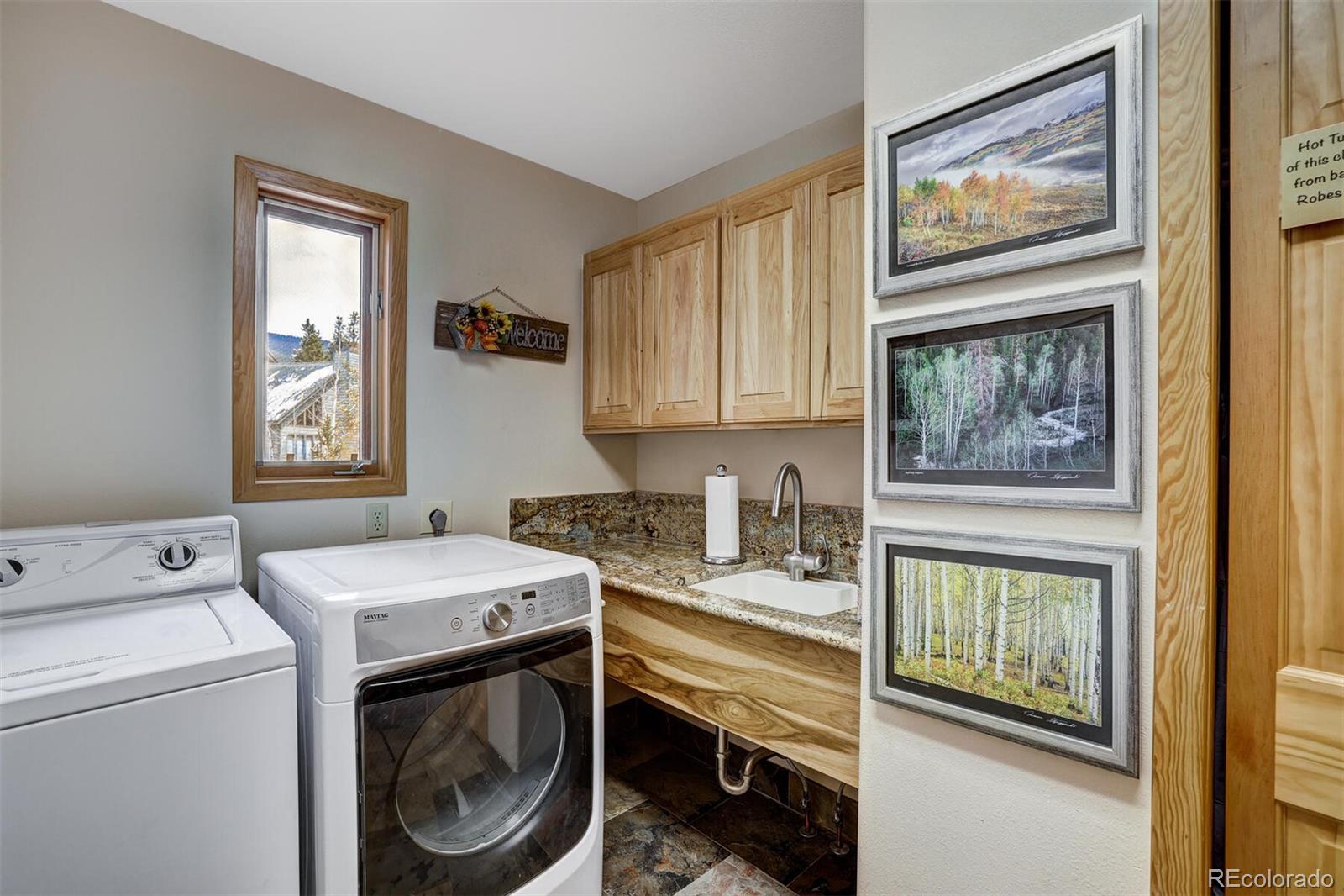 81 Saw Whiskers Cir, Dillon, CO 80435