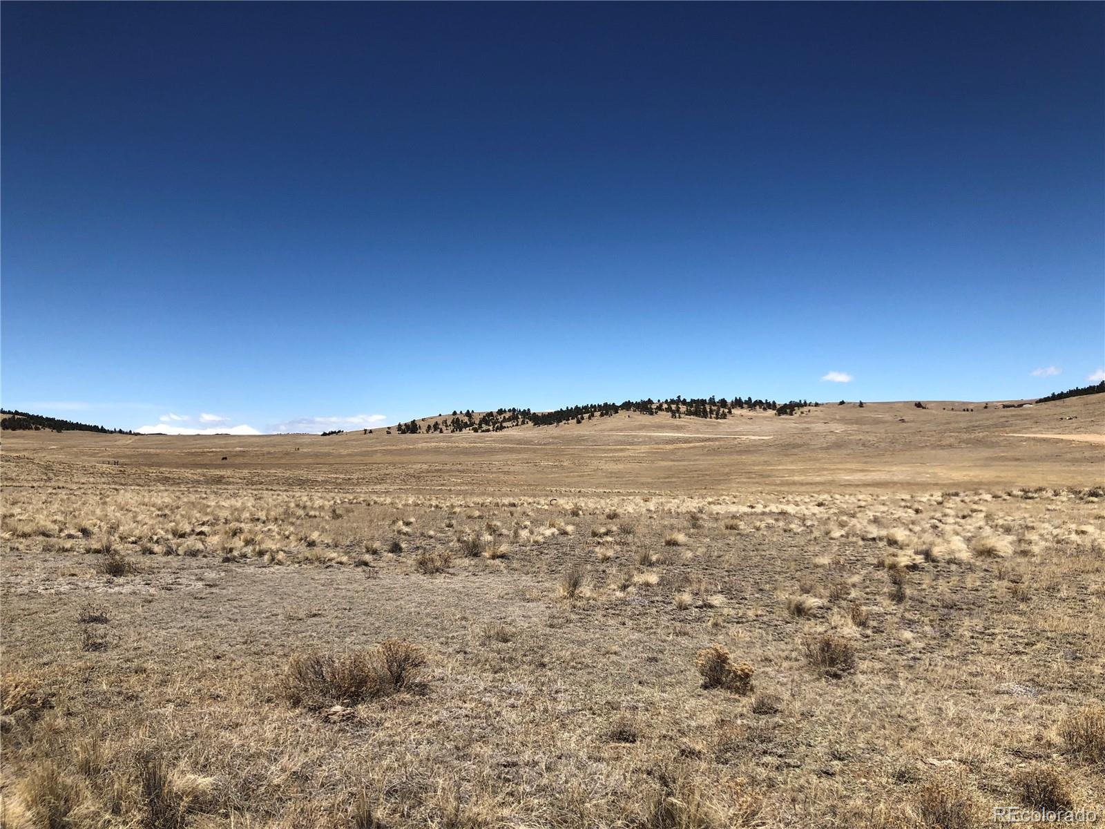 121 Commanche Trl, Hartsel, CO 80449