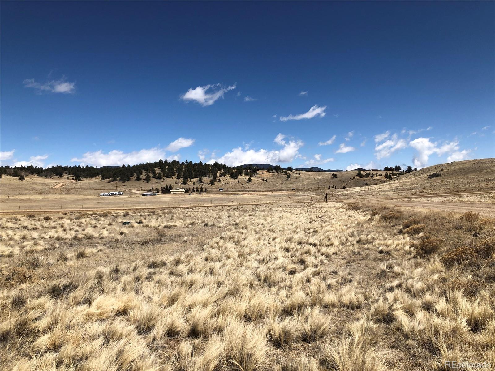 121 Commanche Trl, Hartsel, CO 80449