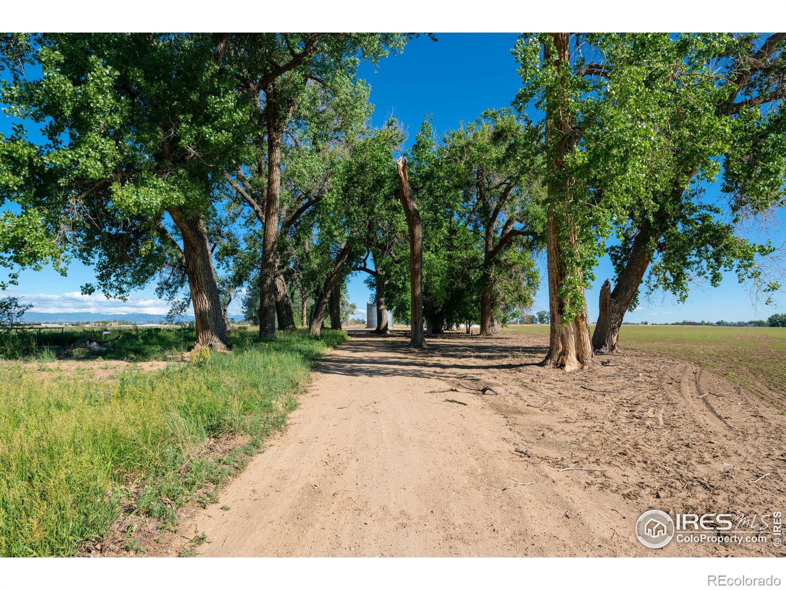 15301 Ypsilon Cir, Mead, CO 80542