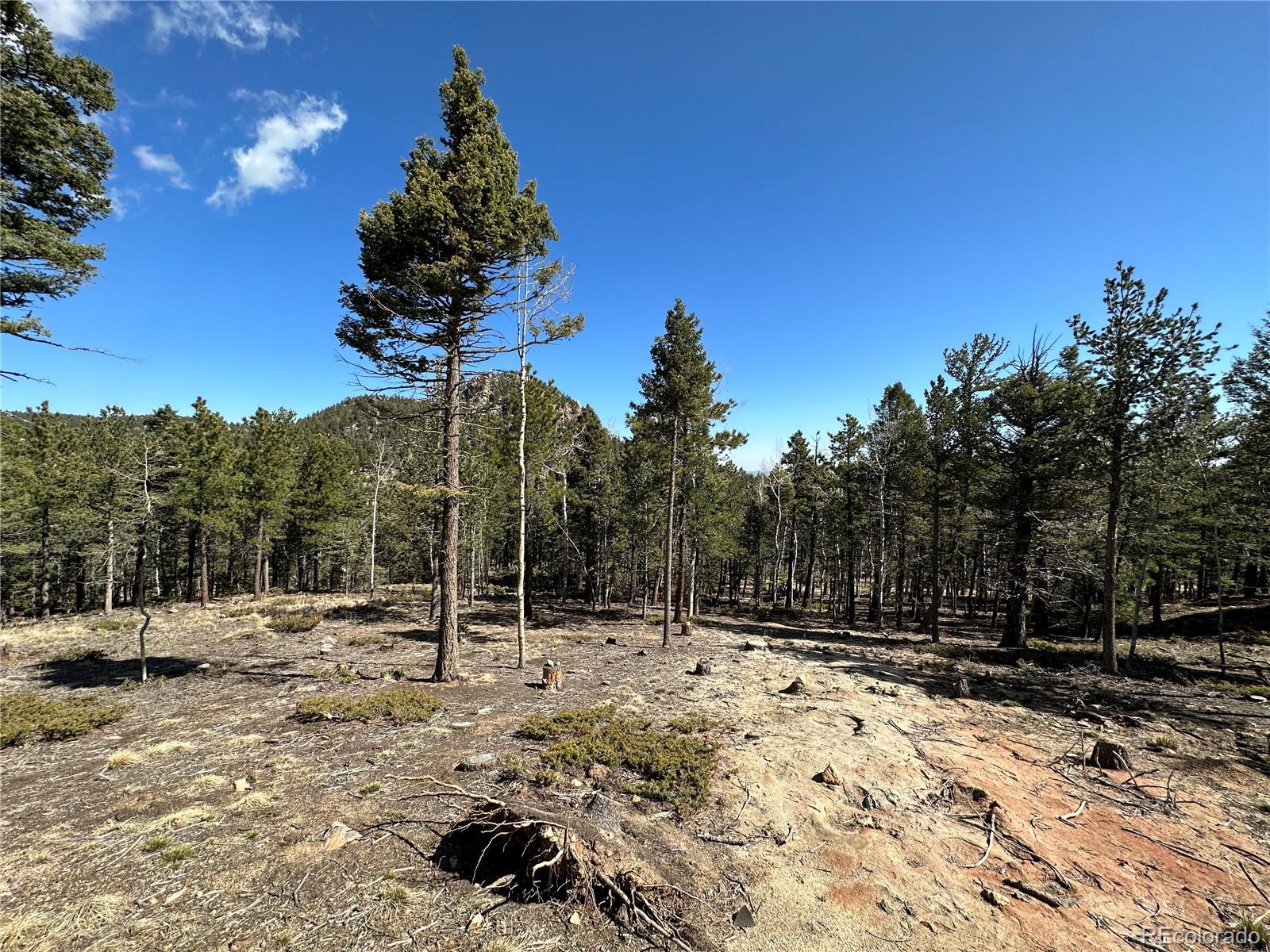 409 Ponderosa Vw, Manitou Springs, CO 80829