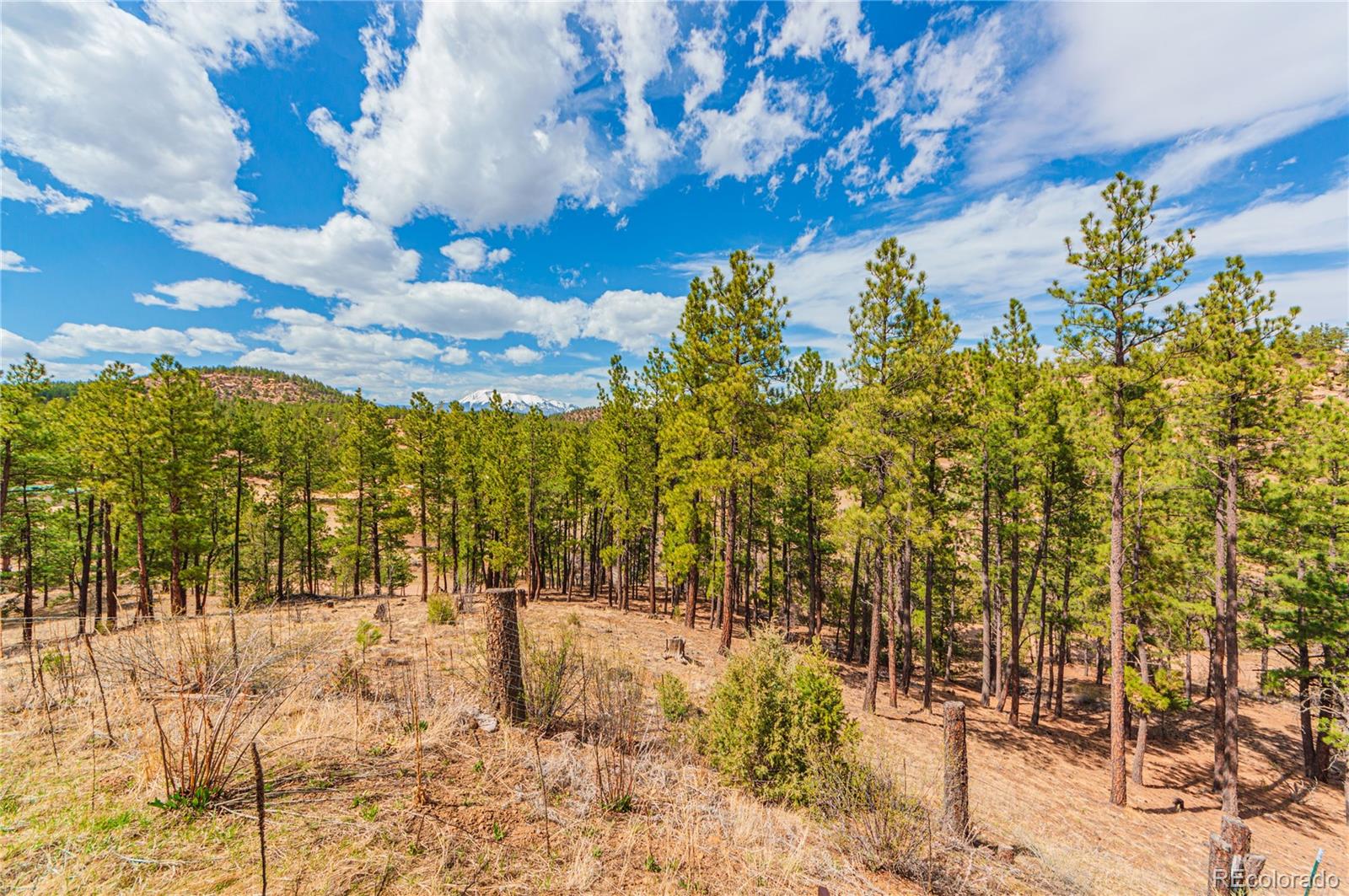 14123 County Road 31 9, Weston, CO 81091