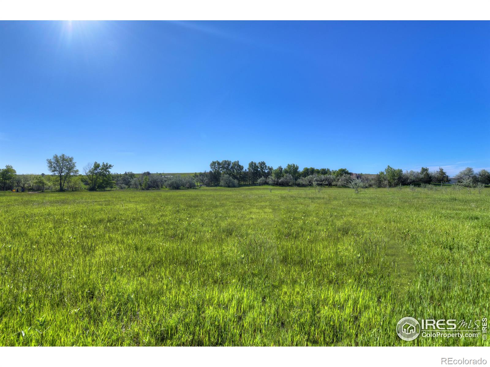 9231 Tollgate Dr, Longmont, CO 80503