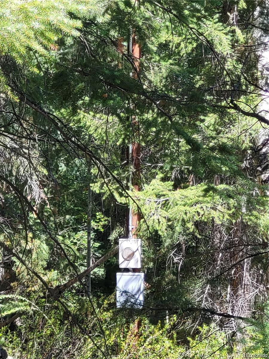 California Cir, Mosca, CO 81101