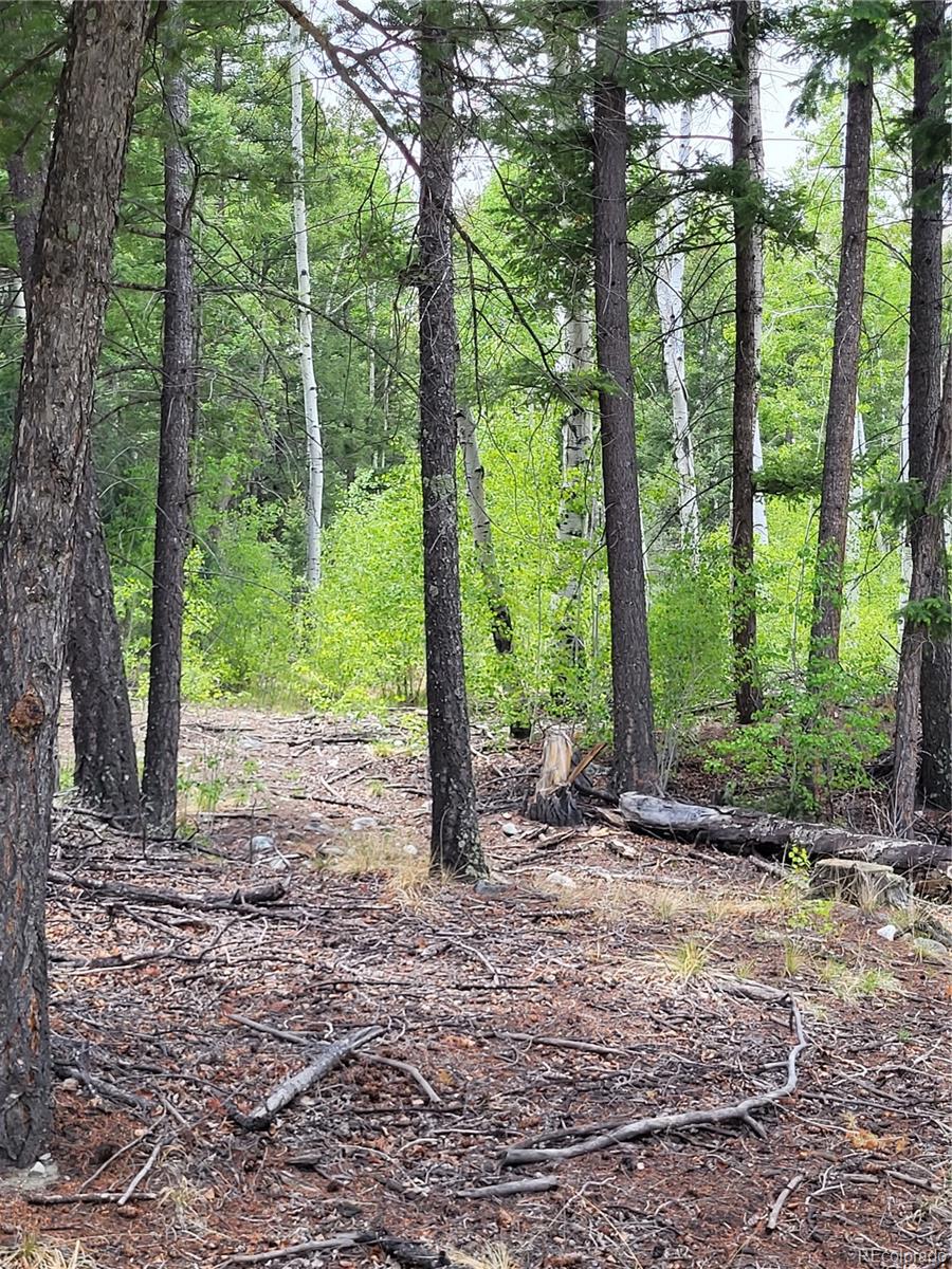 California Cir, Mosca, CO 81101