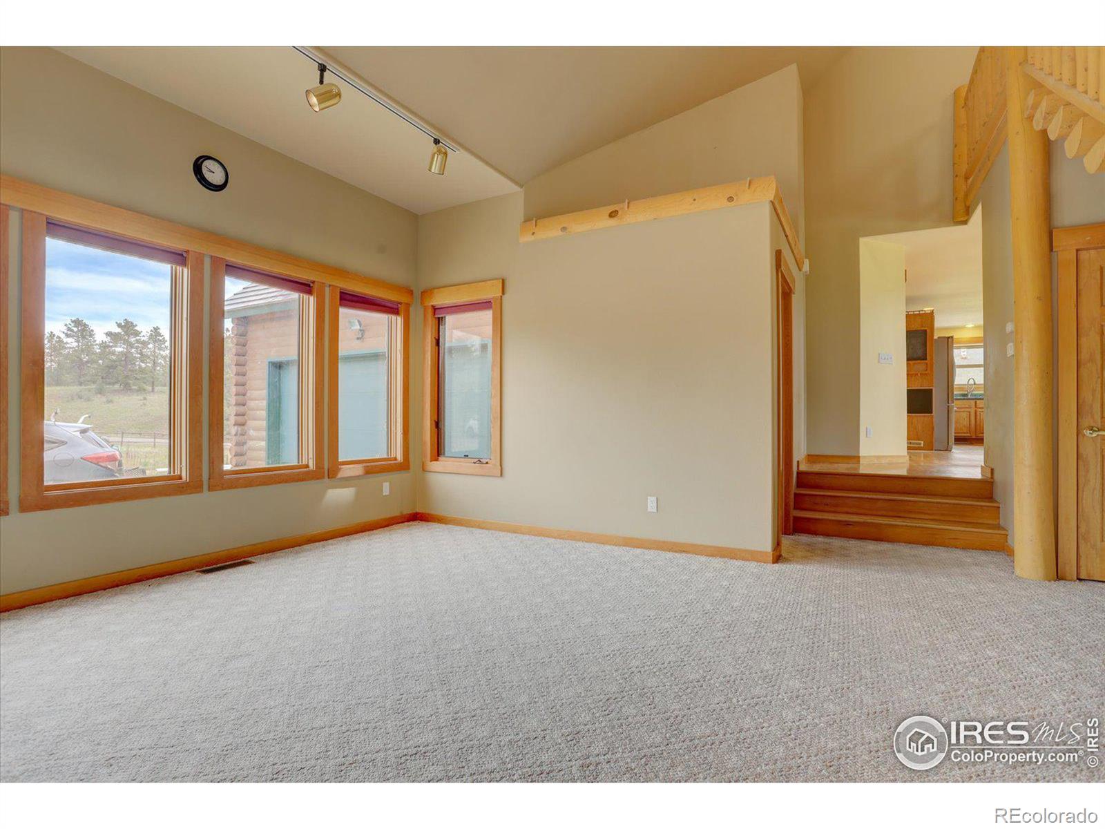 20352 Spring Creek Trl, Buffalo Creek, CO 80425