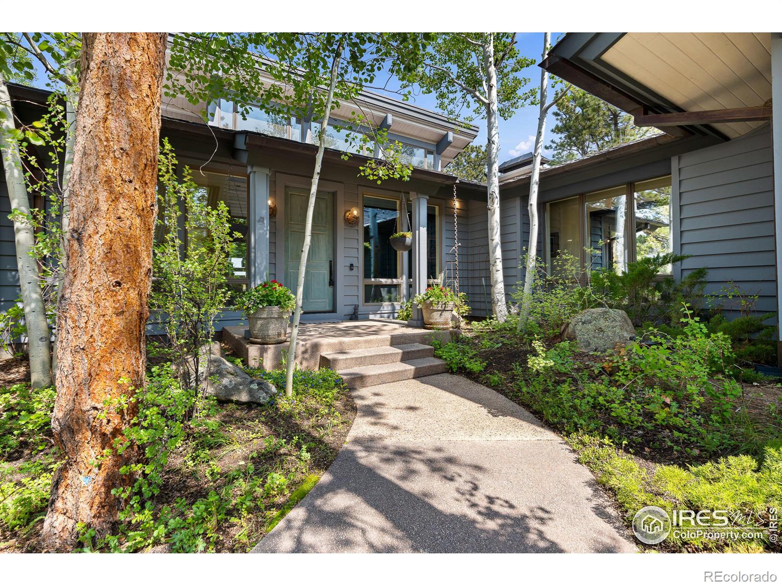 1889 Fox Acres Dr E, Red Feather Lakes, CO 80545