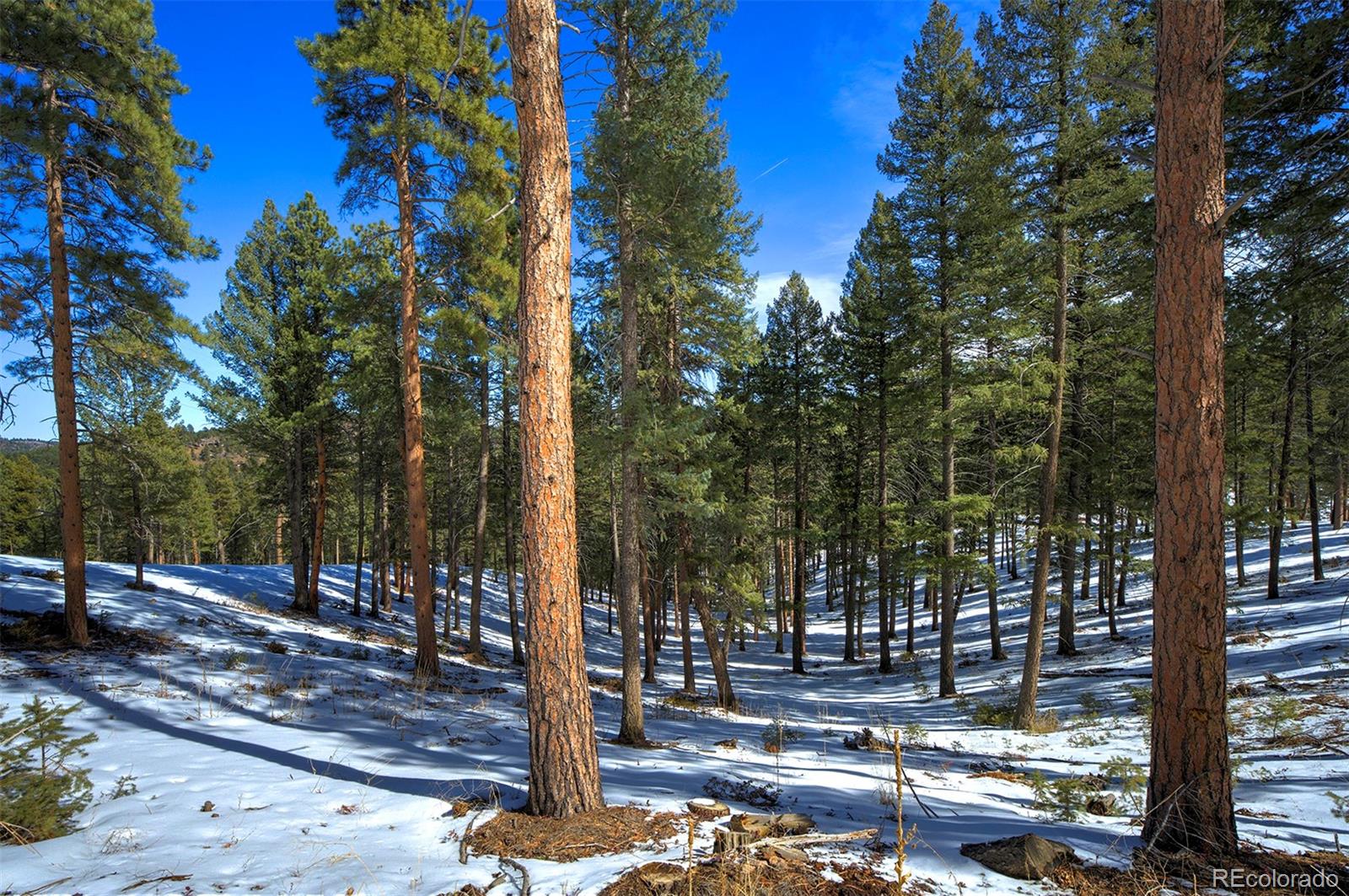 TBD 4 Iowa Gulch Rd Lot 4, Morrison, CO 80465