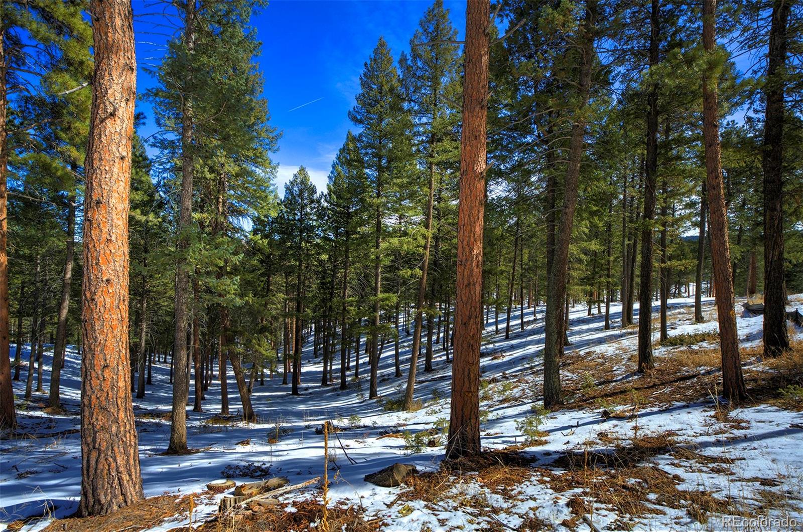 TBD 4 Iowa Gulch Rd Lot 4, Morrison, CO 80465