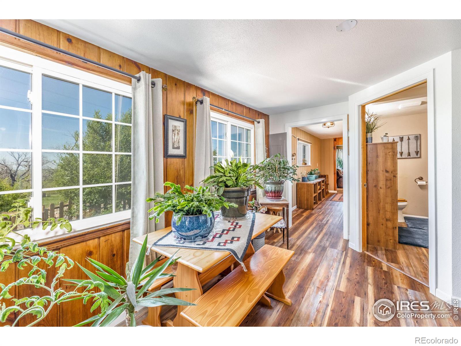 10685 County Road 118, Carr, CO 80612