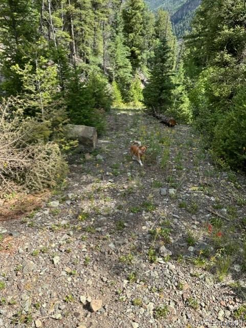 0 Deer St, Jasper, CO 81132