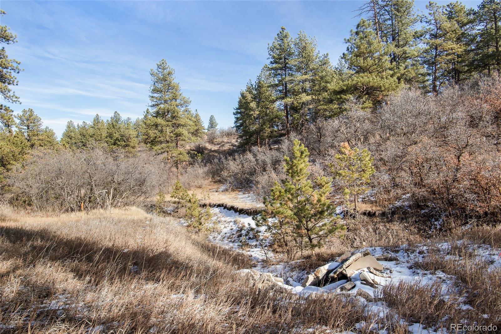 11007 Sunset Oak Pl, Franktown, CO 80116
