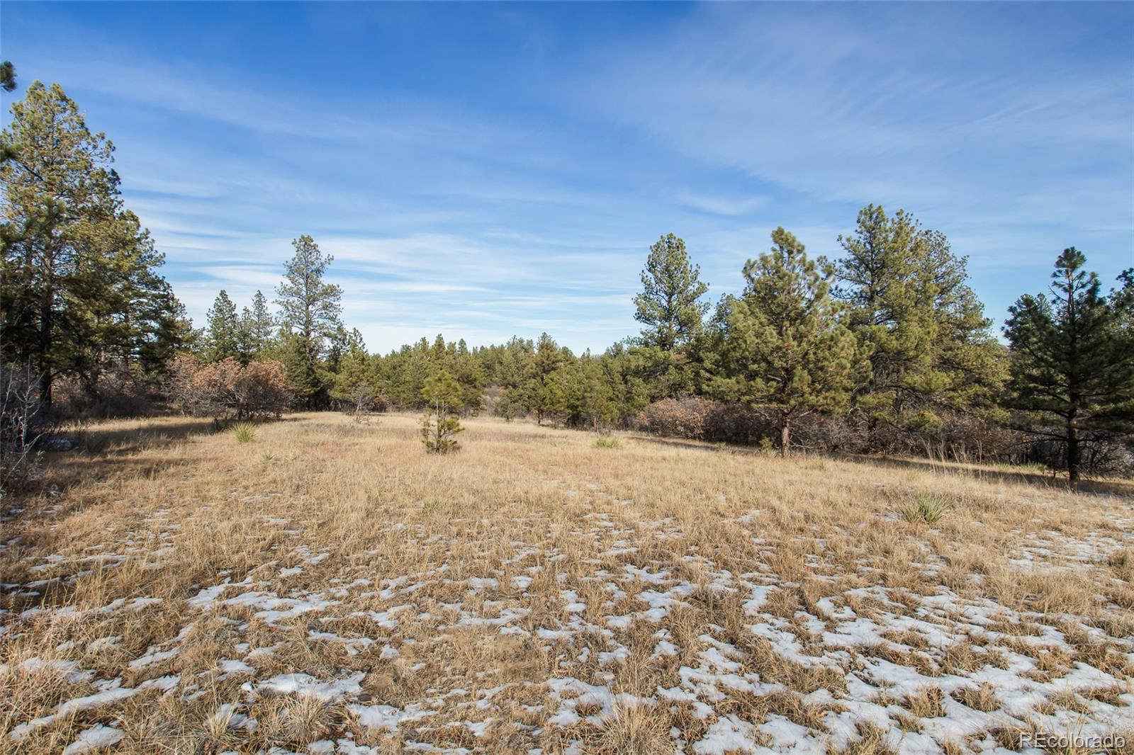 11007 Sunset Oak Pl, Franktown, CO 80116