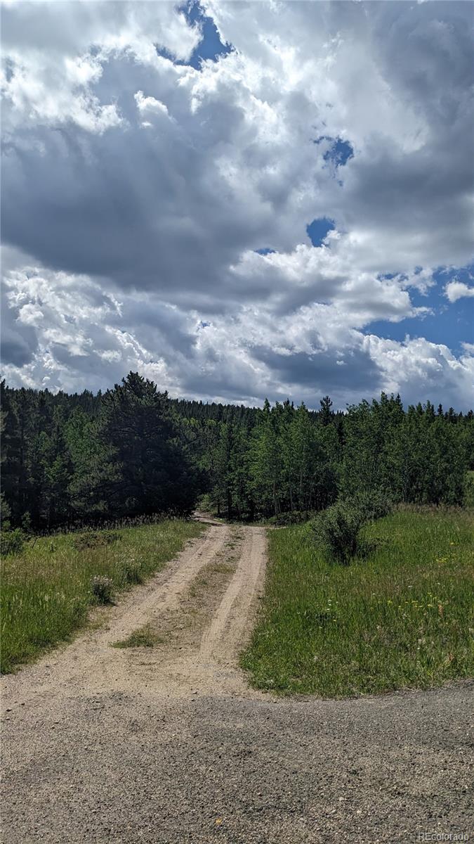 TBD Roy Smith Rd, Central City, CO 80427