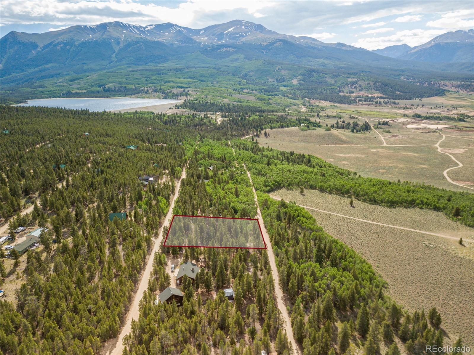 549 Lodgepole Dr, Twin Lakes, CO 80461