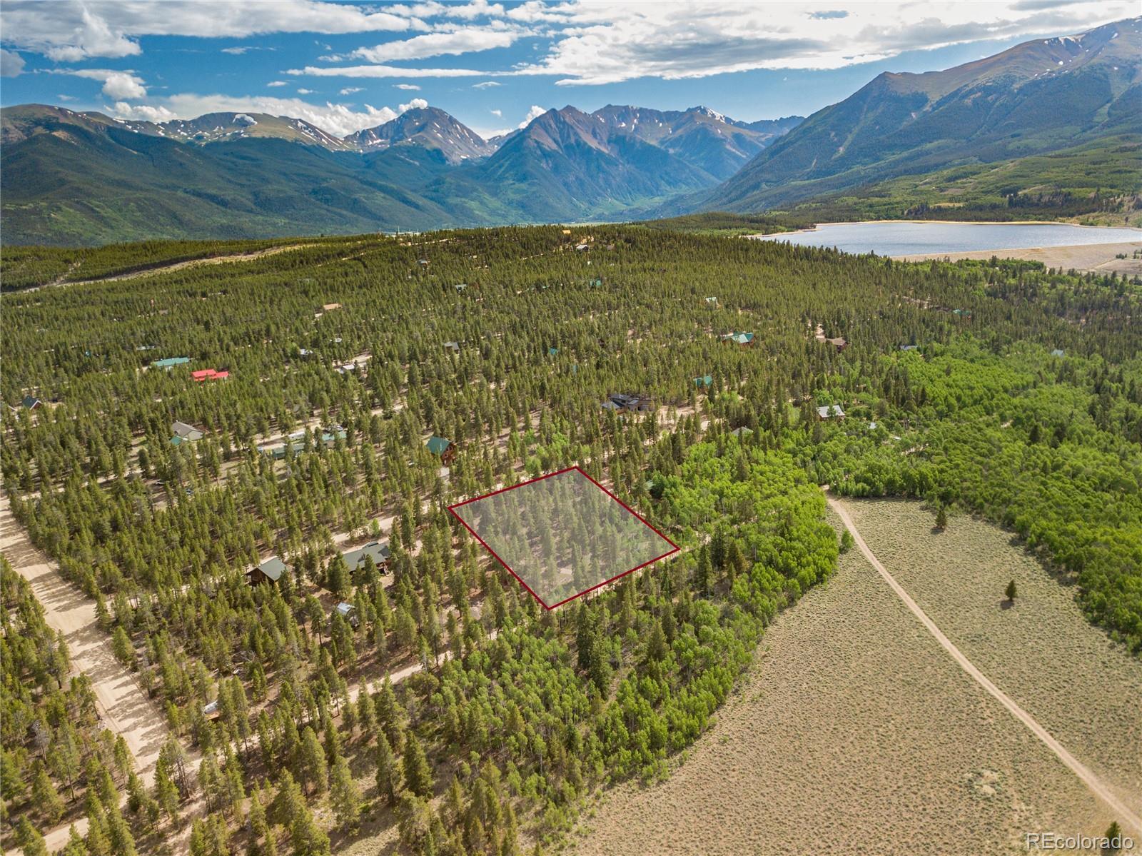 549 Lodgepole Dr, Twin Lakes, CO 80461