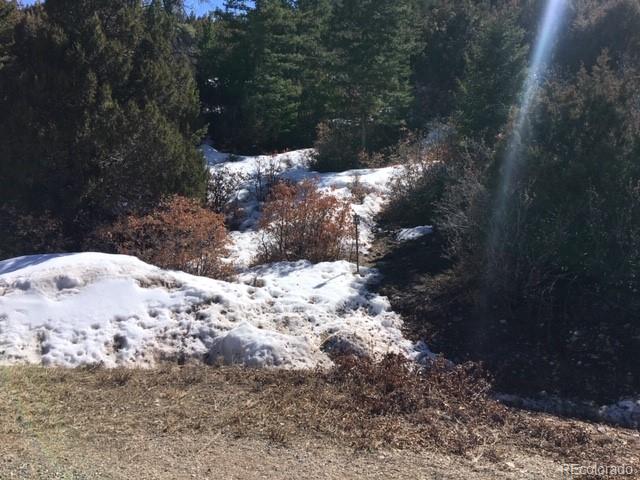 Lot 46 Knotty Pine Rd, Howard, CO 81233