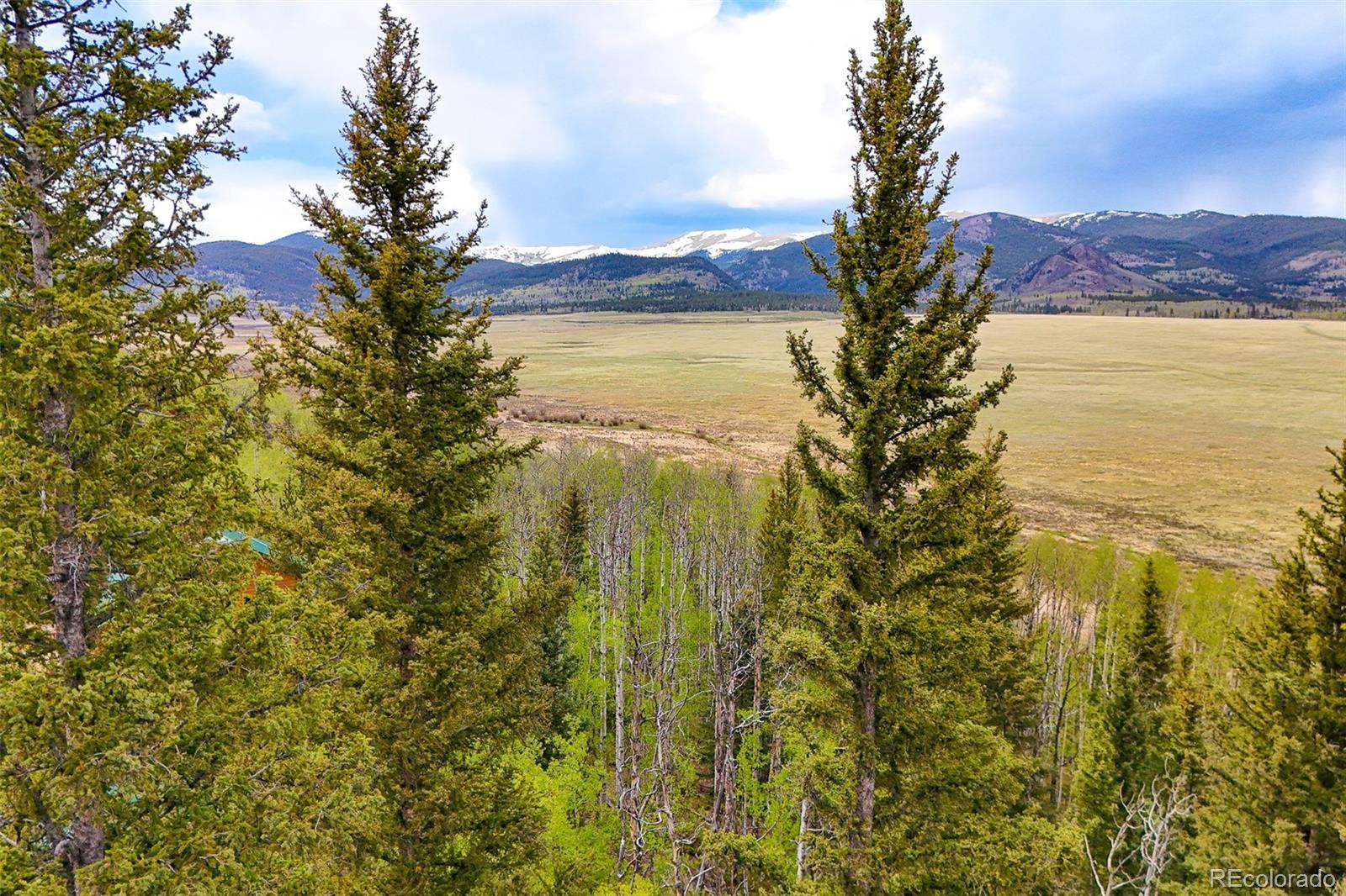 00 Michigan Hill Rd, Jefferson, CO 80456