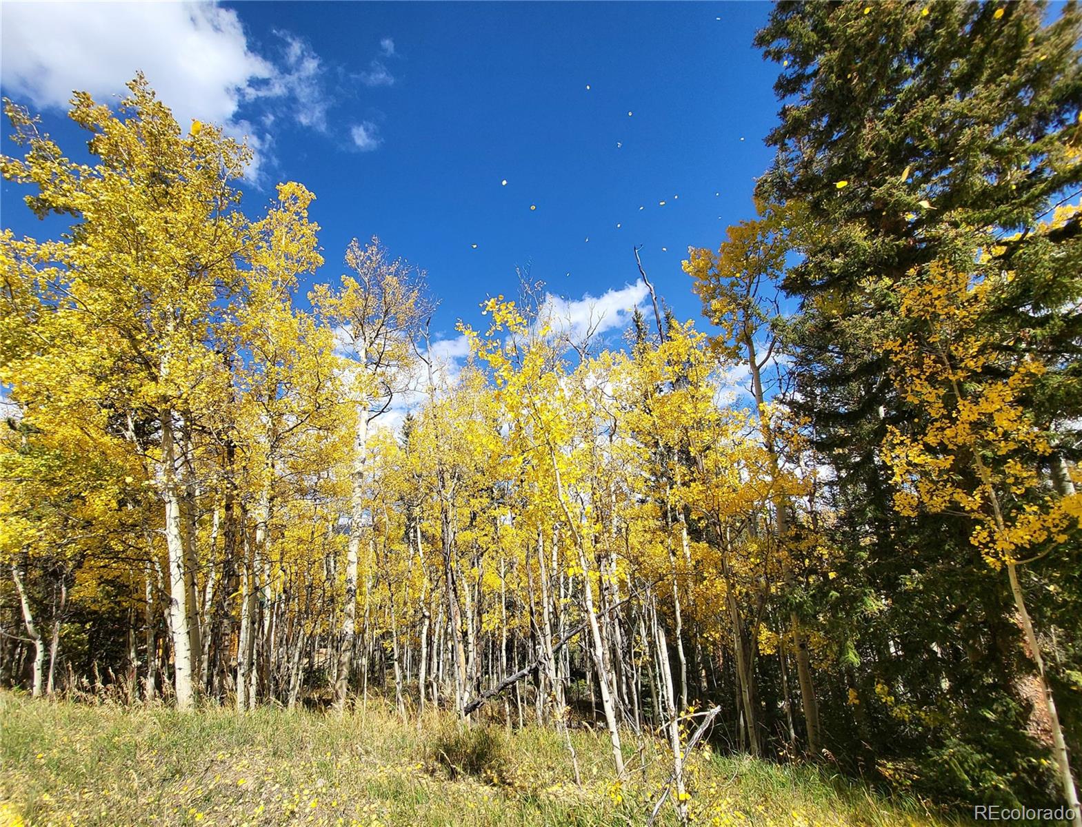00 Michigan Hill Rd, Jefferson, CO 80456