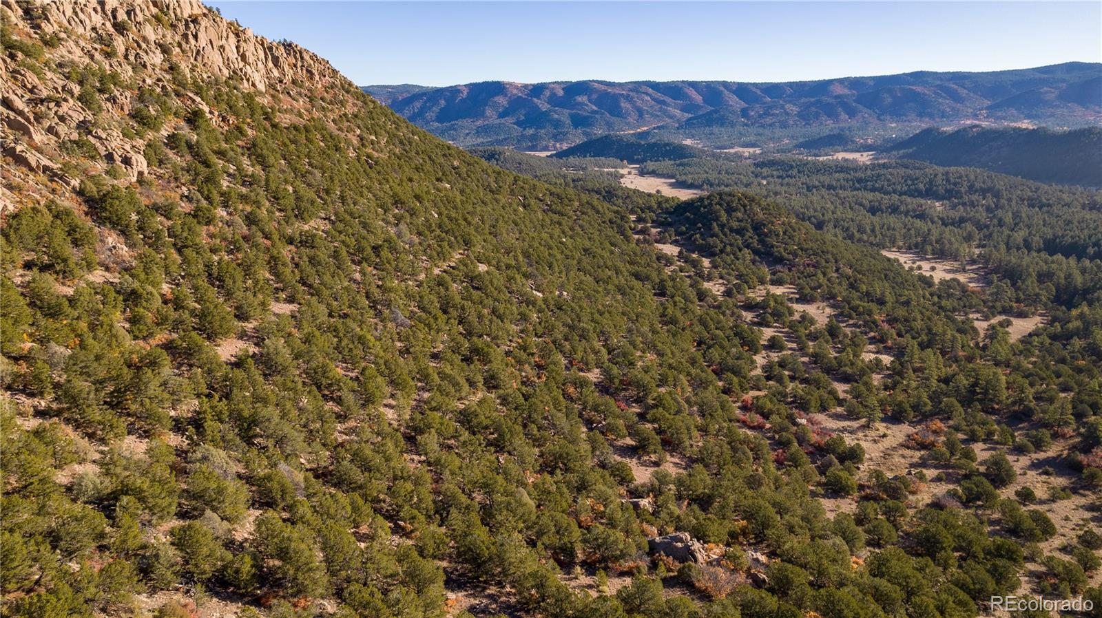 516 Durfee Cir, Silver Cliff, CO 81252