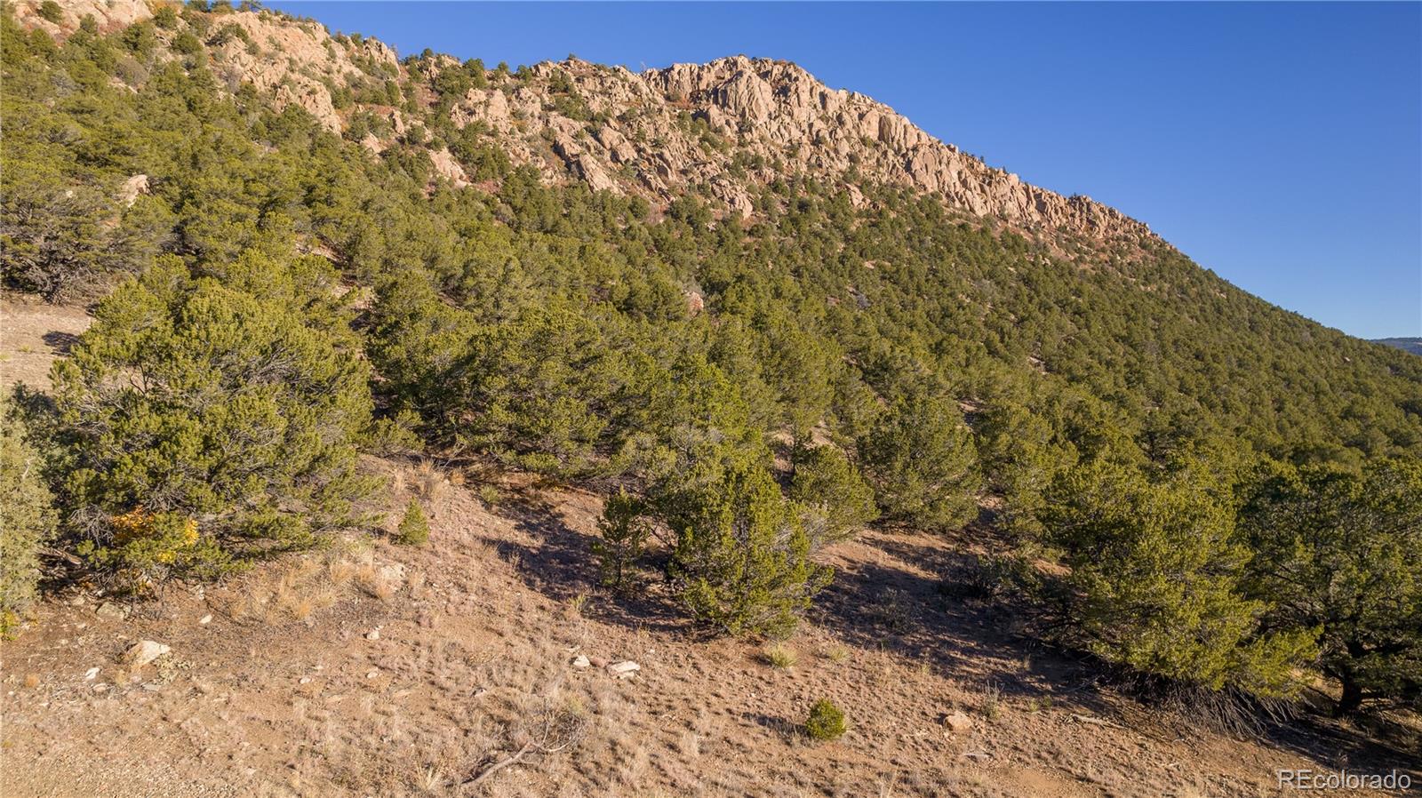 516 Durfee Cir, Silver Cliff, CO 81252