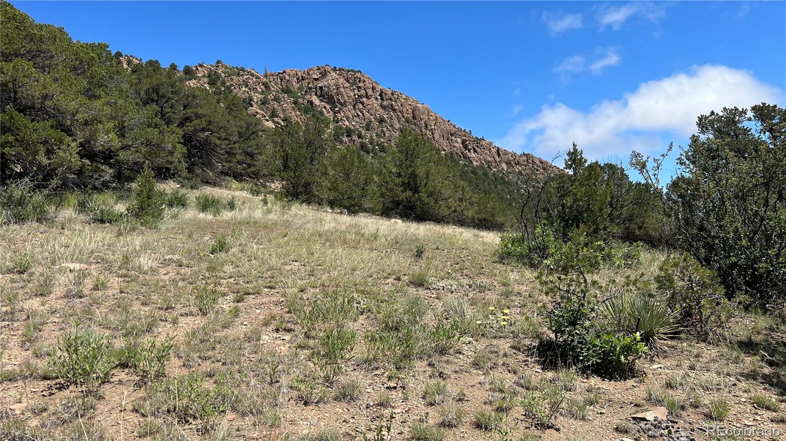 516 Durfee Cir, Silver Cliff, CO 81252