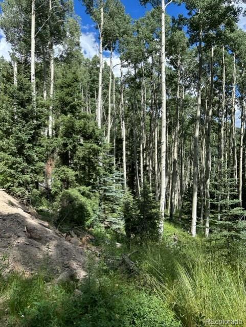 Tbd, Jasper, CO 81132