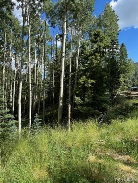 Tbd, Jasper, CO 81132