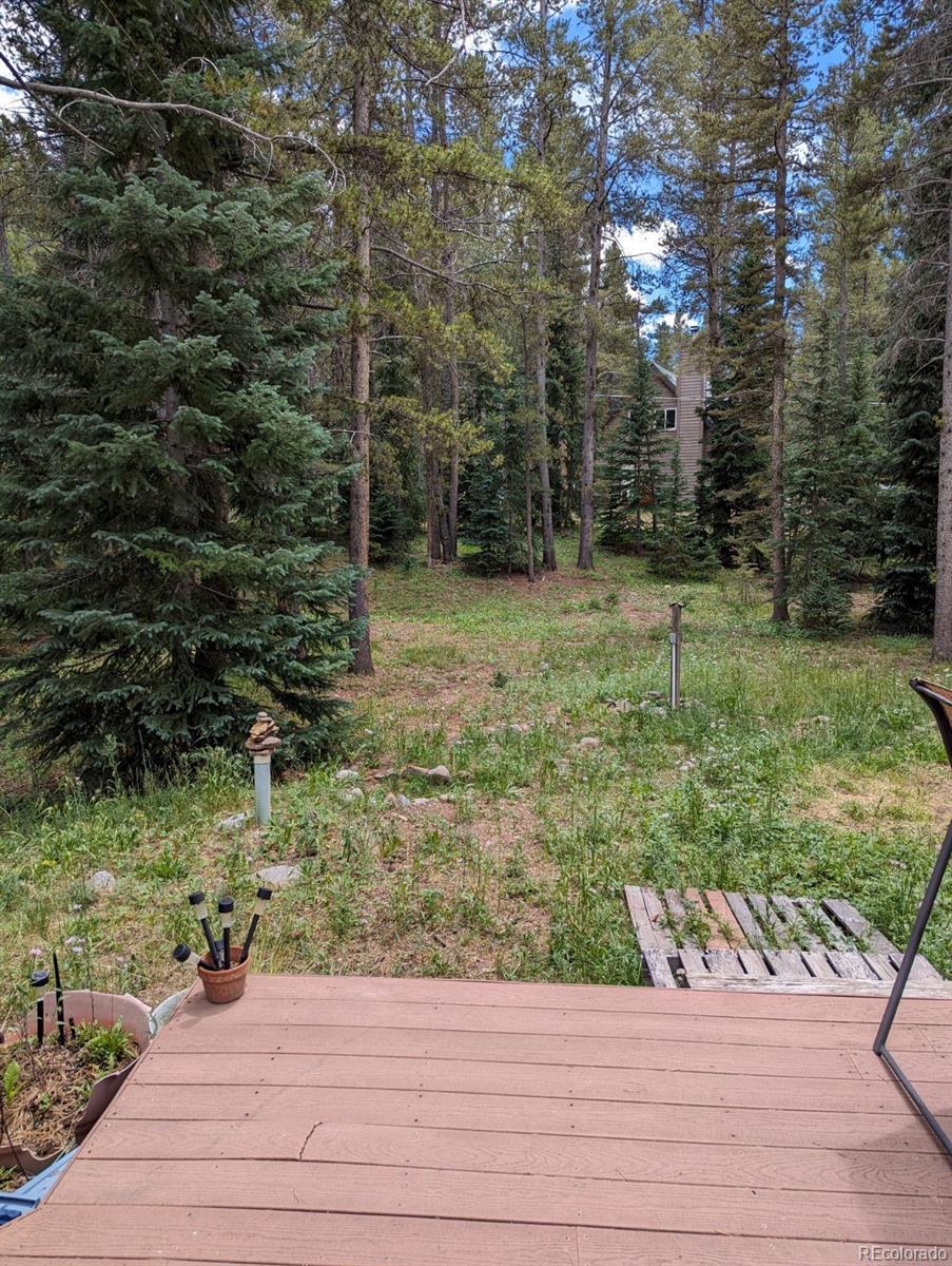 19 Hinterland Trl, Blue River, CO 80424
