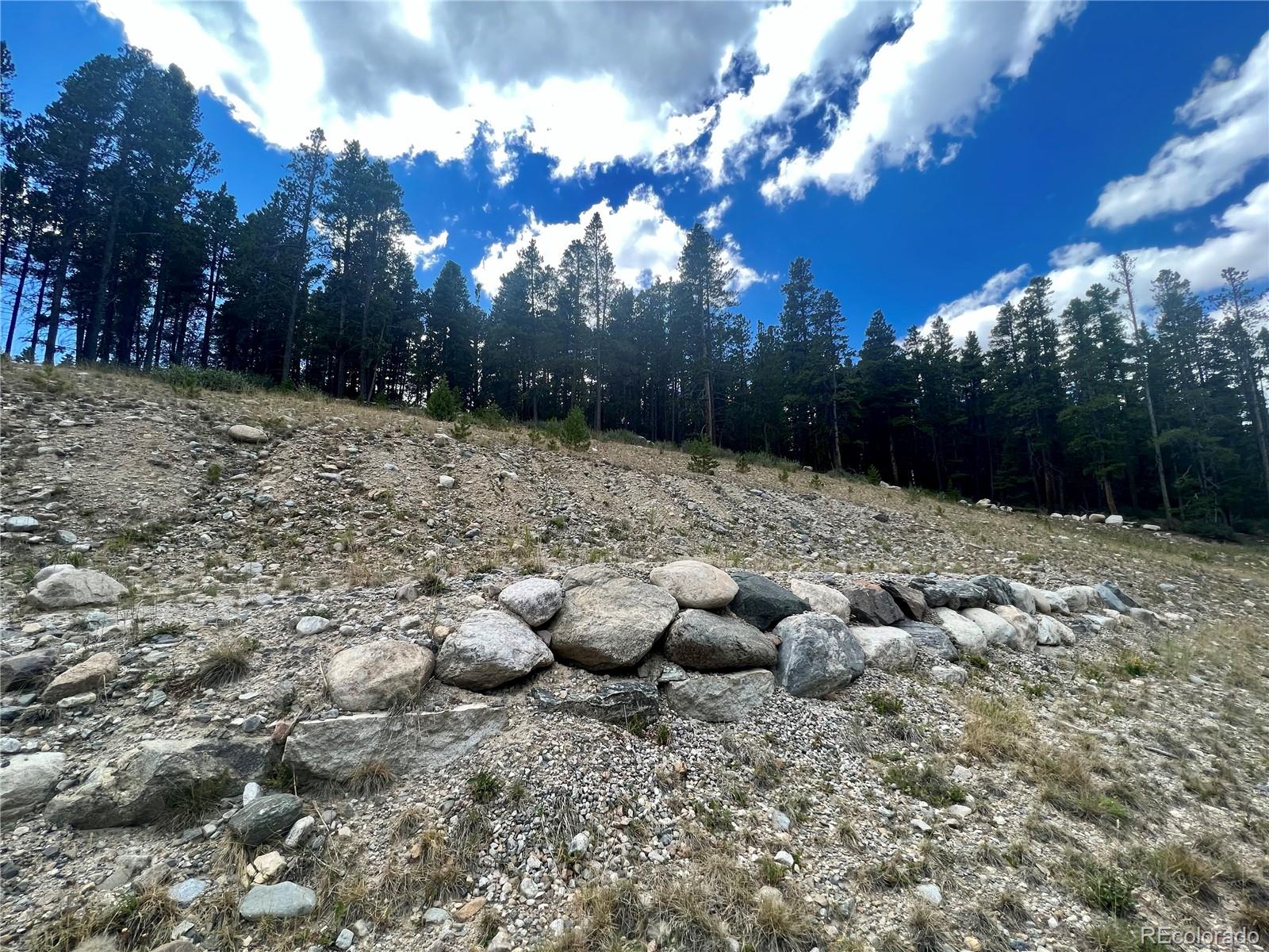 165 Spruce St, Alma, CO 80420